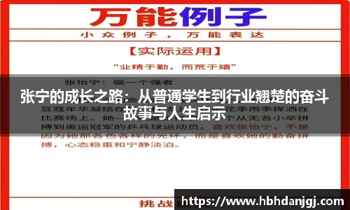 张宁的成长之路：从普通学生到行业翘楚的奋斗故事与人生启示