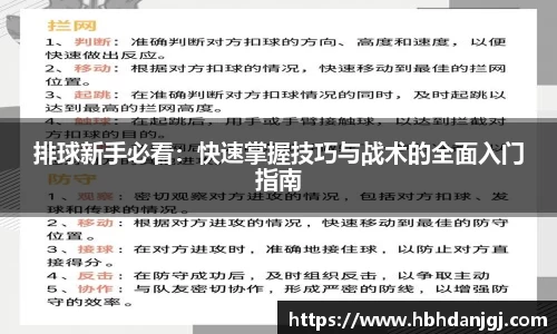 排球新手必看：快速掌握技巧与战术的全面入门指南